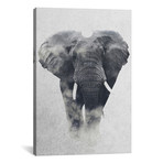 Elephant (26"W x 18"H x 0.75"D)