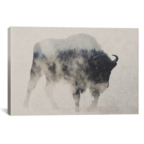 Bison In The Fog // Andreas Lie (26"W x 18"H x 0.75"D)