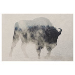 Bison In The Fog // Andreas Lie (26"W x 18"H x 0.75"D)