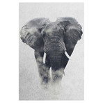 Elephant (26"W x 18"H x 0.75"D)