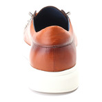 Leather Lace-Up Sneaker // Tobacco (Euro: 42)