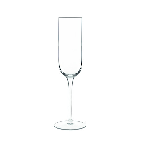 Sublime Champagne Glasses // Set of 4