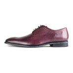 Raider Oxford // Bordo (Euro: 40)