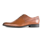 Mustang Paneled Oxford // Cognac (Euro: 41)