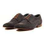 Tiger Oxford // Stone (Euro: 39)