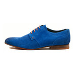 Tiger Oxford // Blue (Euro: 39)