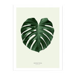 Monstera (24"W x 30"H x 3.8"D)