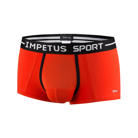 Sport Boxer Brief // Red (S)