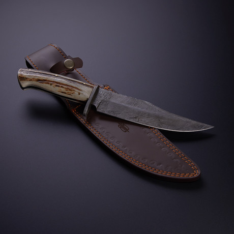 King's Stag Bowie