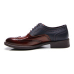 Two-Tone Wing-Tip Derby / Dark Blue (Euro: 41)