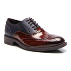 Two-Tone Wing-Tip Derby / Dark Blue (Euro: 40)