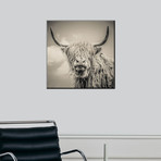 Highland Cattle (24"W x 24"H)