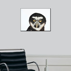 A Spectacled Owl, Pulsatrix Perspicillata, At The New York State Zoo (18"W x 24"H)