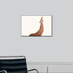 A Reticulated Giraffe, Giraffa Camelopardalis Reticulata (16"W x 24"H)