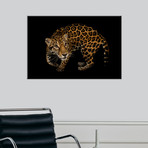 A Federally Endangered, Ten-Year-Old, Female Jaguar At The Dallas World Aquarium (16"W x 24"H)