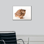 A Eurasian Eagle Owl, Bubo Bubo, At Zoo Atlanta (18"W x 24"H)