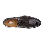 Leather Wingtip Oxford // Espresso (Euro: 41)