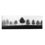 Tree Line by Erin Clark (36"W x 12"H x 0.75"D)