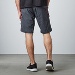 Fresvik Shorts // Grey (XS)