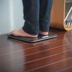 BF1 // Body Fat Analyzer