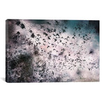 In Search of Life // 5By5Collective (26"W x 18"H x 0.75"D)