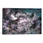 Shade of Night // 5By5Collective (26"W x 18"H x 0.75"D)