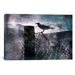 Night Raven // 5By5Collective (26"W x 18"H x 0.75"D)