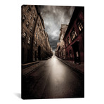 Dead End // David Senechal Photographie (18"W x 26"H x 0.75"D)