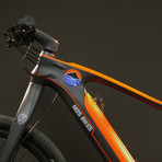 All Go Carbon Fiber Bike (With Carbon Fork)