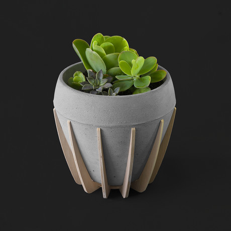 La Morena Planter // Medium