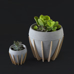 La Morena Planter // Small
