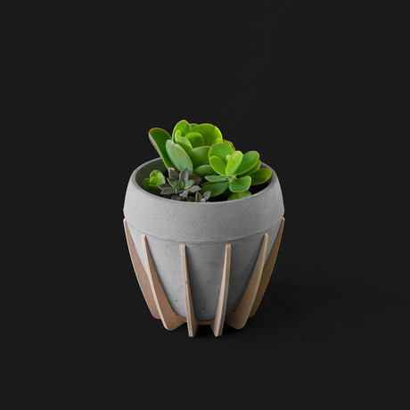 La Morena Planter // Small