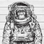 Space Monkey // White Wood (18"W x 18"H x 1.5"D)