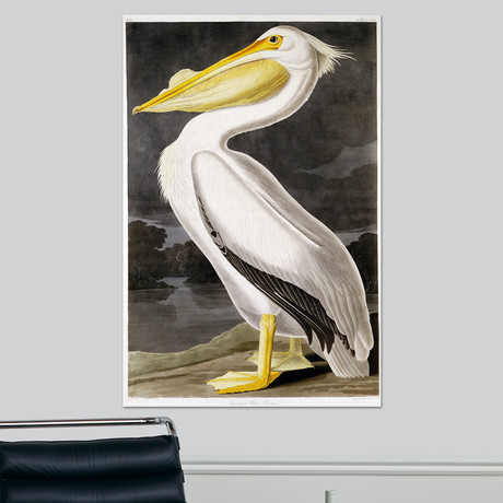 American White Pelican (18"W x 24"H x 1.5"D)