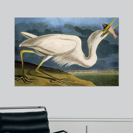 Great White Heron (18"W x 24"H x 1.5"D)