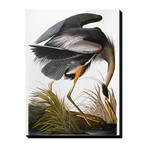 Audubon: Heron (18"W x 24"H x 1.5"D)