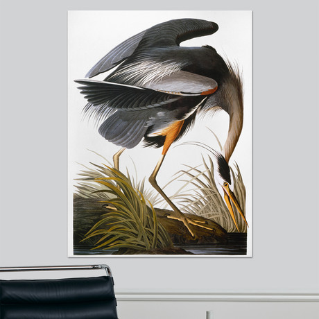 Audubon: Heron (18"W x 24"H x 1.5"D)