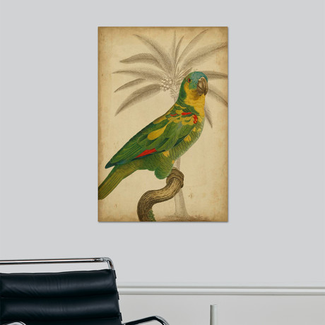 Parrot and Palm II (12"W x 16"H x 1.5"D)