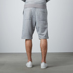 Weber Short // Grey (L)