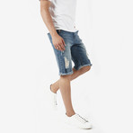 Distressed Stone Wash Denim Shorts // Light Blue (M)