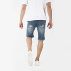 Distressed Stone Wash Denim Shorts // Light Blue (M)