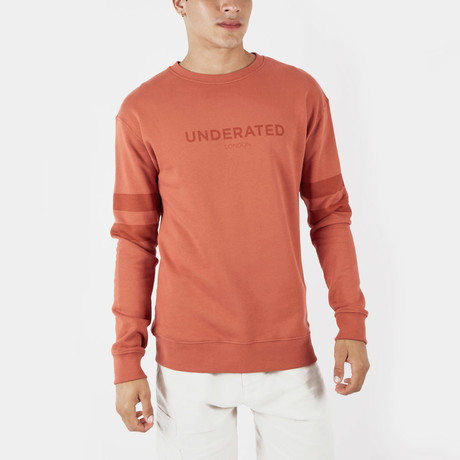 Printed Sweatshirt  // Rust (XS)