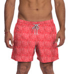 Blueport // Redjean // Red (M)