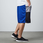 Blocked Panel Basketball Short // Blue (L)