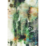 Elephant (26"W x 18"H x 0.75"D)