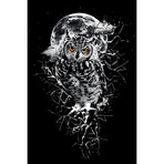 Owl In B&W (26"W x 18"H x 0.75"D)