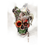 Floral Skull Series // Broken Horn (26"W x 18"H x 0.75"D)