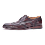 Abbott Medallion Wing-Tip Derby // Brown (Euro: 41)