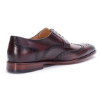 Abbott Medallion Wing-Tip Derby // Brown (Euro: 41)