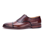 Lewis Cap-Toe Oxford // Brown (Euro: 44)